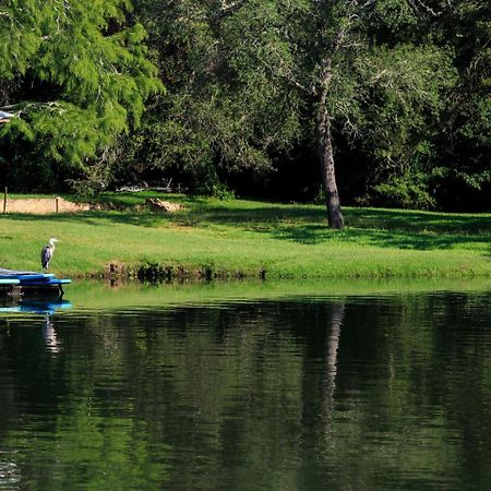Magnolia Springs Bed And Breakfast Εξωτερικό φωτογραφία